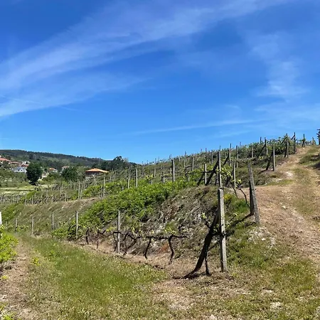 Quinta Do Casal De Passadouro - Casa Da Adega Vakantiehuis Grilo